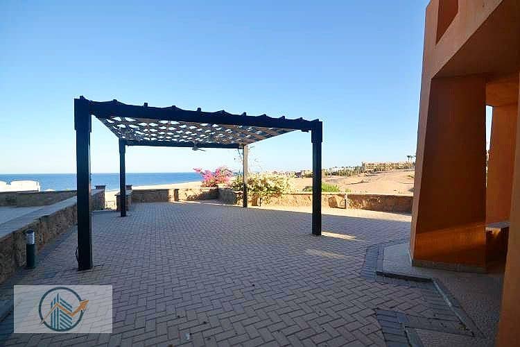 12 DSC_0605_5142c_lg. jpg