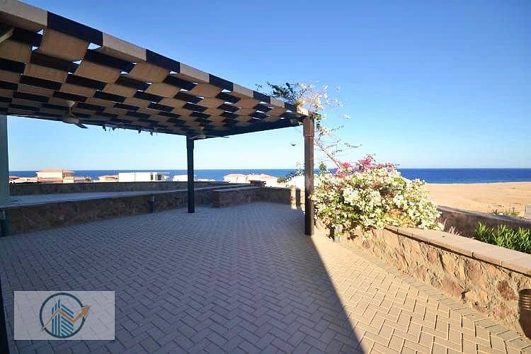 13 DSC_0606_50a79_lg. jpg