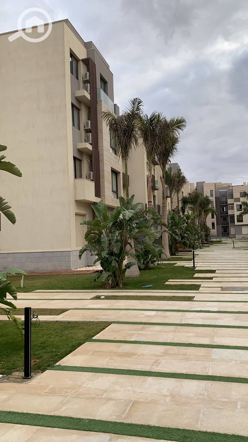 12 465dcaa7-033b-4e26-b83b-1228f11e8c96. JPG