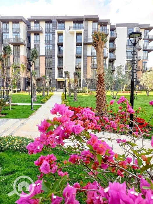 2 532484231_782502987639230_4810951665163467667_n. jpg