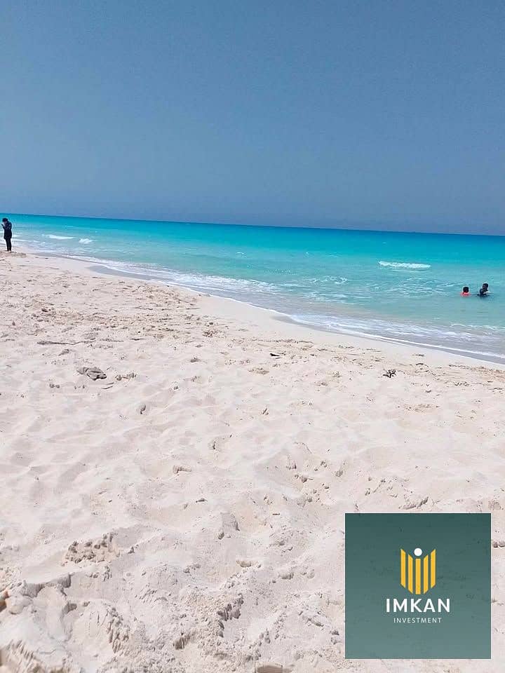 15 538040012_10164333502832565_3230206131795374351_n. jpg