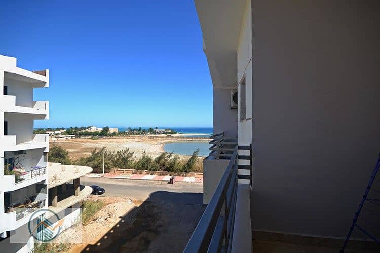 9 DSC_0587_045b5_lg. jpg