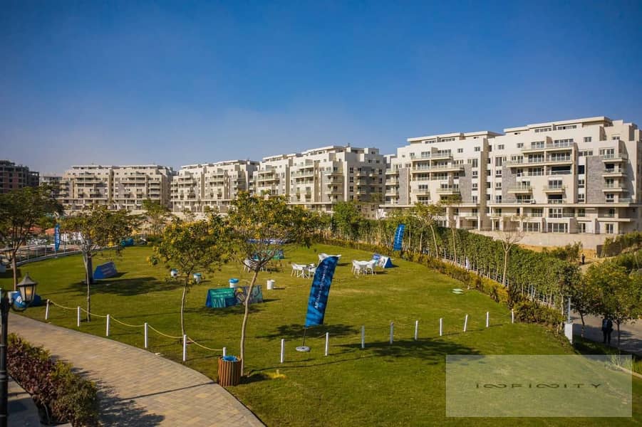 15 e082136b-b32b-4c4e-aefc-c20acde378c4. jpeg