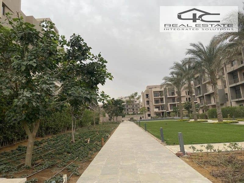 4 bc356d2f-49d2-42f6-8072-0d8c0bca6ea7. jfif. jpg