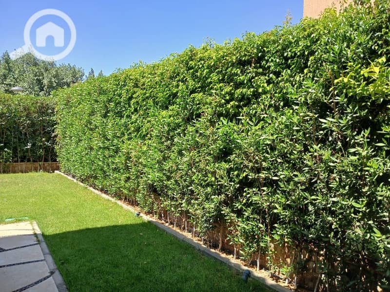 14 850ead66-33ab-46d1-ac99-f1c8c72edbc8. jpeg