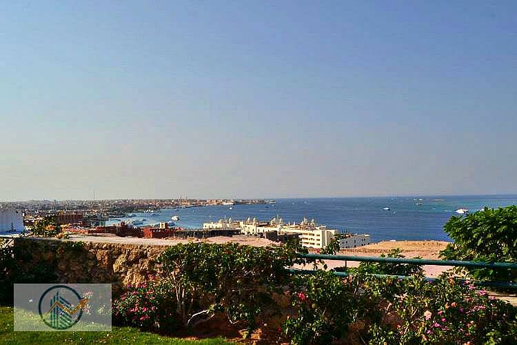 DSC_0003_b5d34_lg. jpg DSC_0003_b5d34_lg. jpg