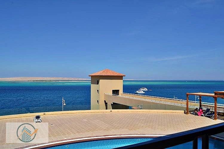 2 DSC_0008 (1)_588e6_lg. jpg