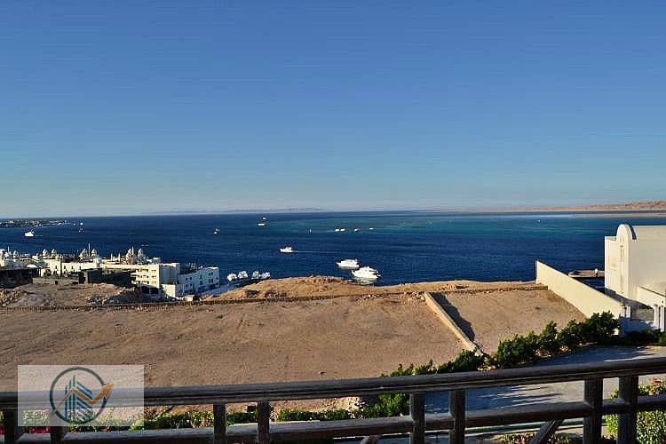 3 DSC_0023_87309_lg. jpg