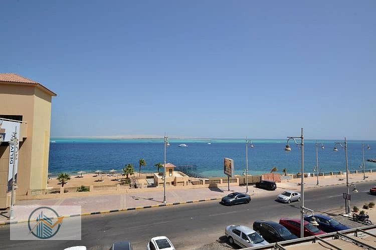 4 DSC_0167_139af_lg. jpg