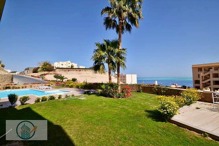 5 DSC_0199_a0336_lg. jpg