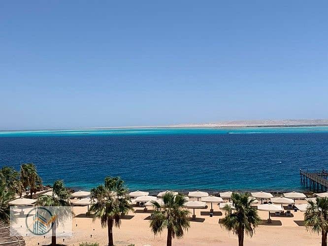 6 IMG-20250625-WA0129_9595d_lg. jpg