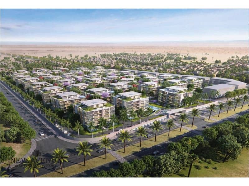 7 165b90b4-14f8-40b2-b030-dde9329d91cd. jpg