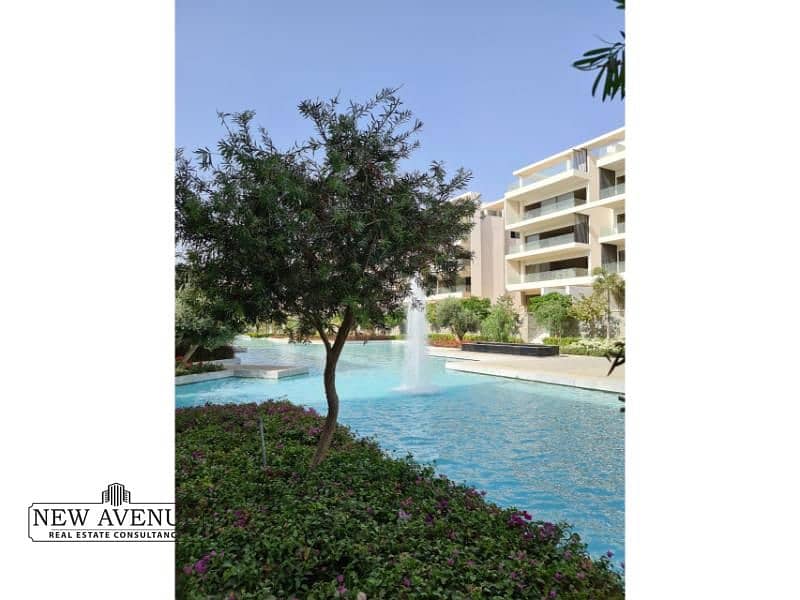 8 79039205-9a70-444d-9084-2fe122c4027d. jpg