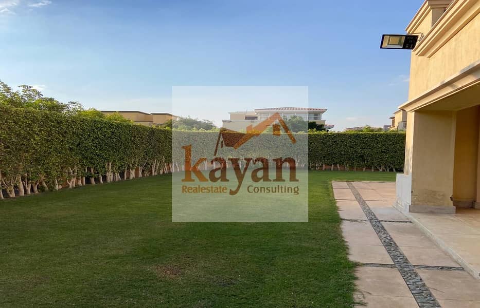 17 7f644536-5bc2-4911-b2ca-f2be49ebc4ab. jpg