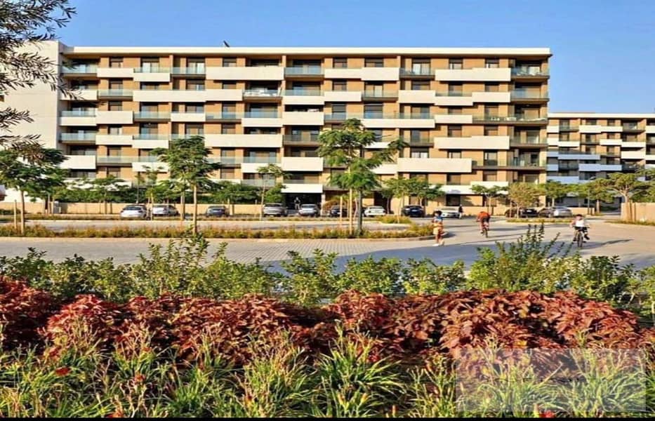 10 IMG-20241201-WA0777_1400x900. jpg