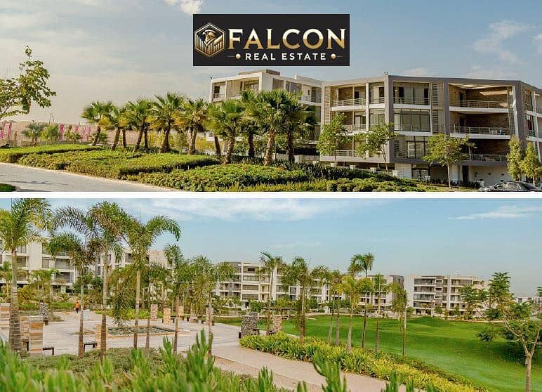 4 311022733_423202039975877_4596209558474946175_n (1). jpg