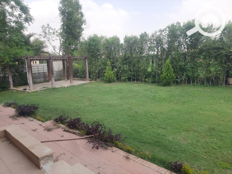 13 5363ae43-f6cb-4f39-8ce4-ce03df1172f3. jpeg