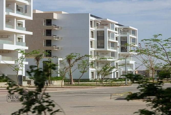 4 WhatsApp Image 2025-10-23 at 16.13. 27_e15415e8. jpg