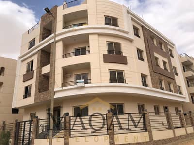 3 Bedroom Flat for Sale in New Cairo, Cairo - WhatsApp Image 2025-10-27 at 13.11. 45_f6cdf337. jpg
