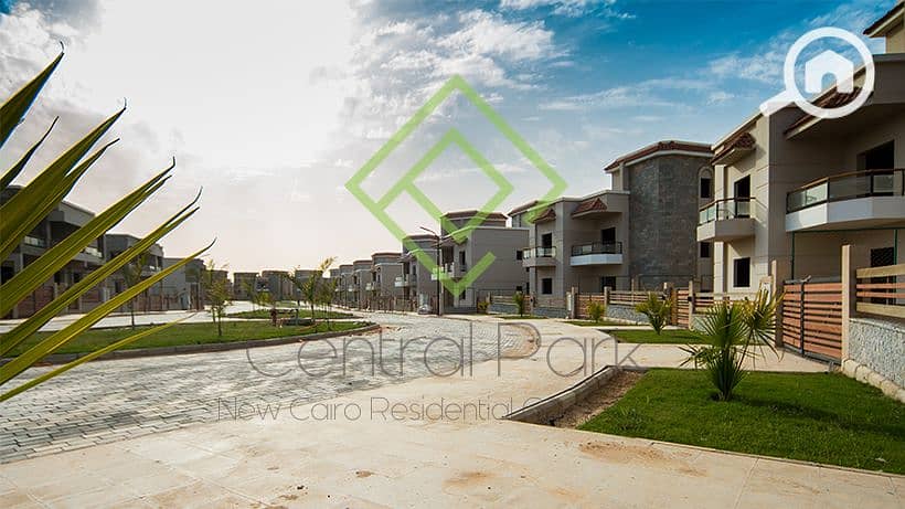 8 70288954_376378829707093_7700182814704009216_n. png