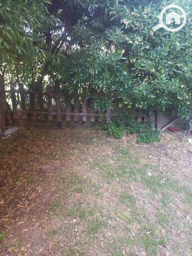 1000559098. jpg 1000559098. jpg