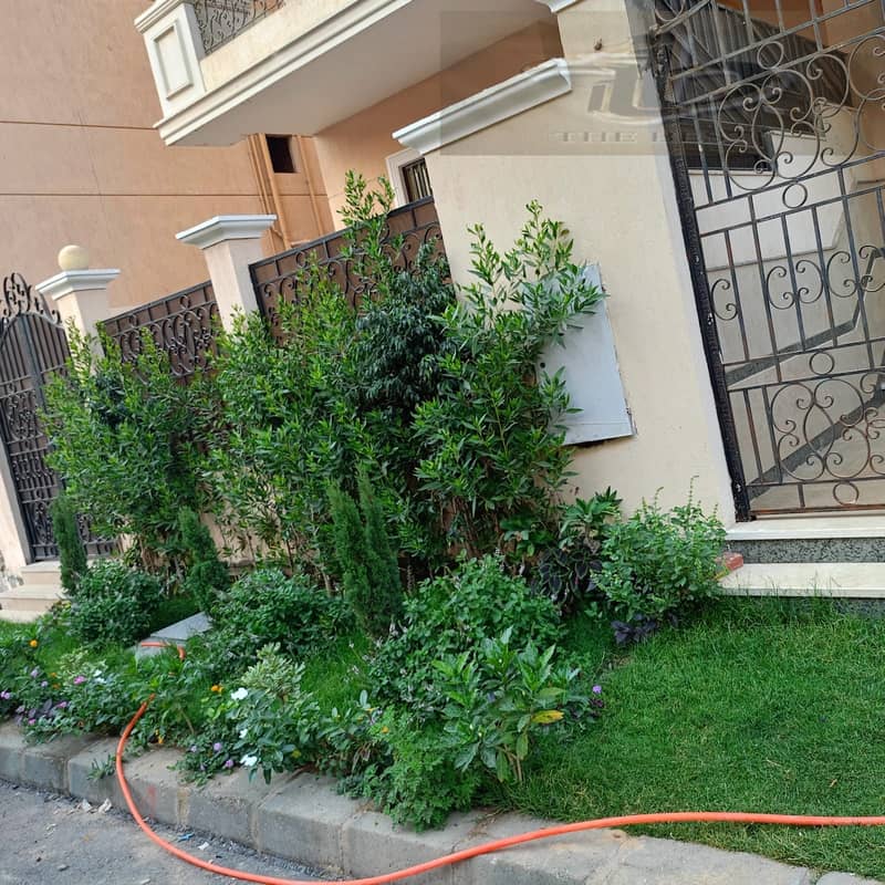 4 a77f1f67-fdf8-4fc2-a30f-6c2b78d12da6. jpeg