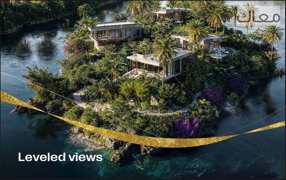 4 641dcb69-ac93-4507-b33c-e246472433ea. jpeg