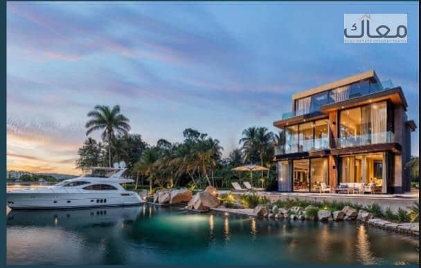 8 01301bf1-4ce9-4d5a-a594-6e4e57578db1. jpeg