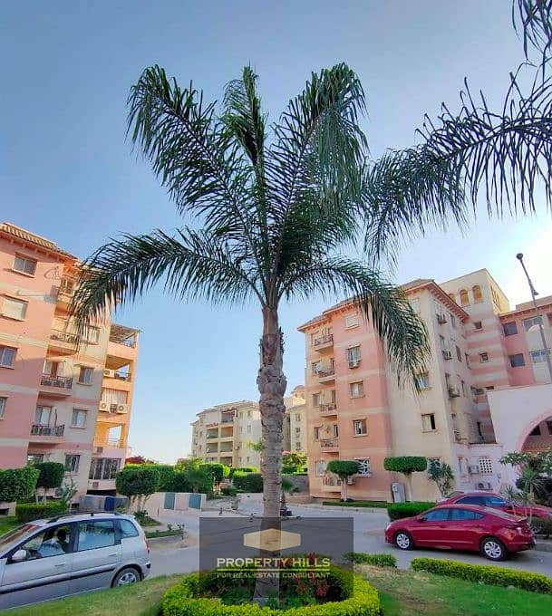 3 Screenshot 2025-05-26 164635. png