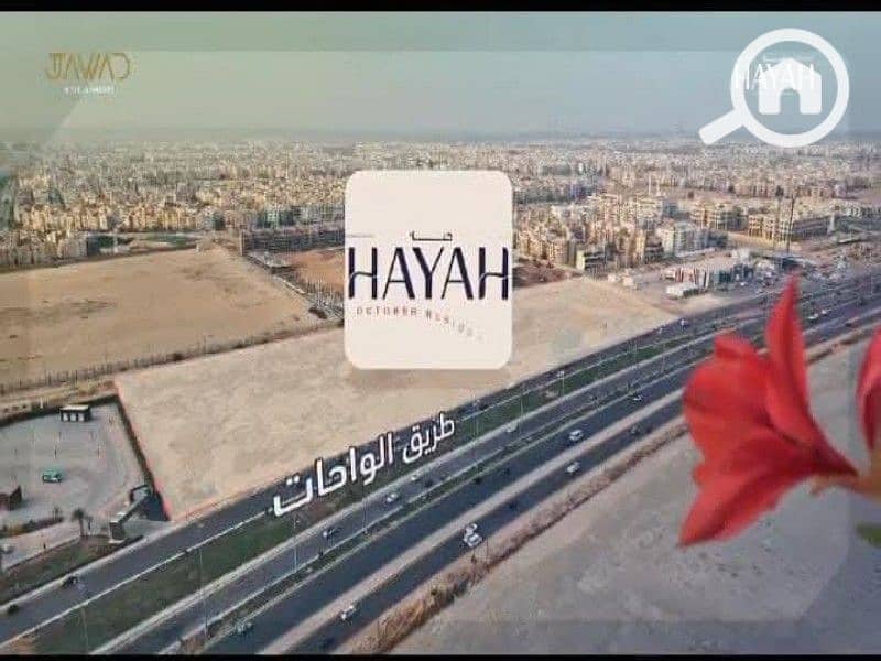 6 WhatsApp Image 2025-08-16 at 1.18. 11 PM (1). jpeg