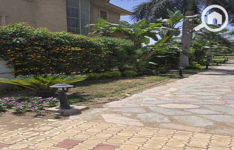 5 Bedroom Villa for Sale in New Cairo, Cairo - WhatsApp Image 2025-05-26 at 12.34. 27_45148183. jpg