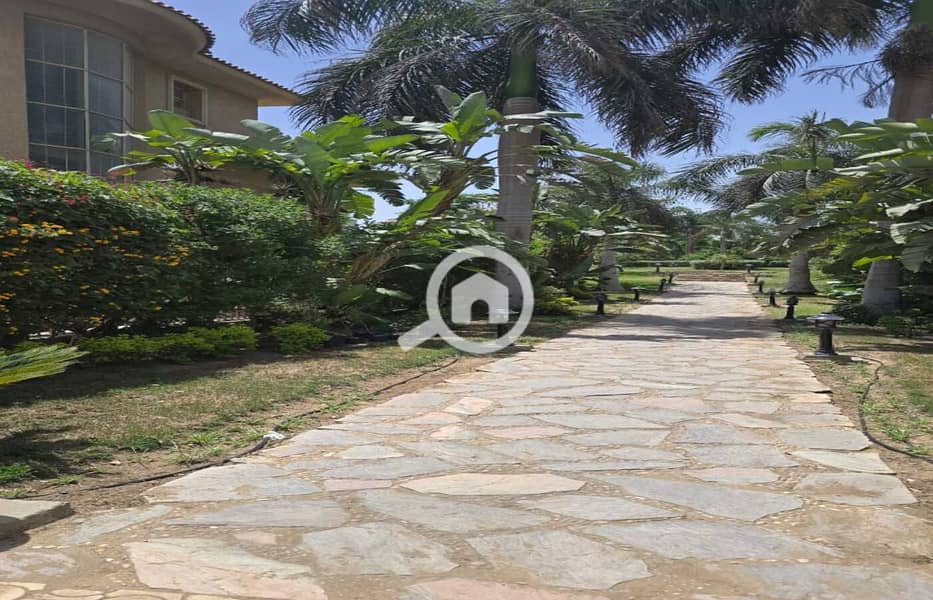 3 WhatsApp Image 2025-05-26 at 12.34. 27_9b3978db. jpg