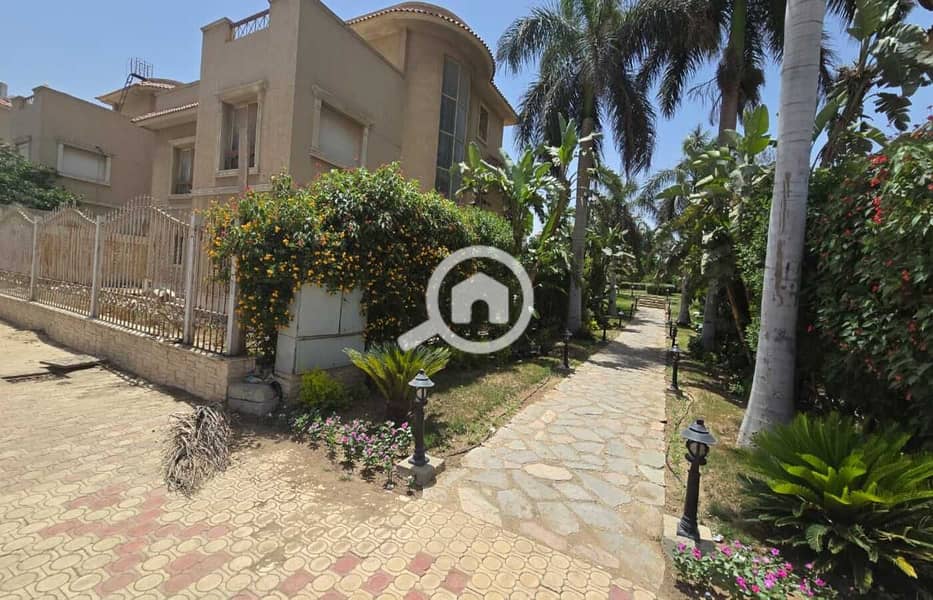 5 WhatsApp Image 2025-05-26 at 12.34. 27_f7128c7d. jpg