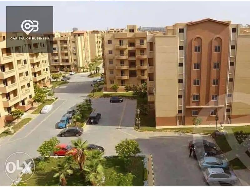 4 51d4e992-b6d9-4481-bf7e-52e4228d46ca. jpg