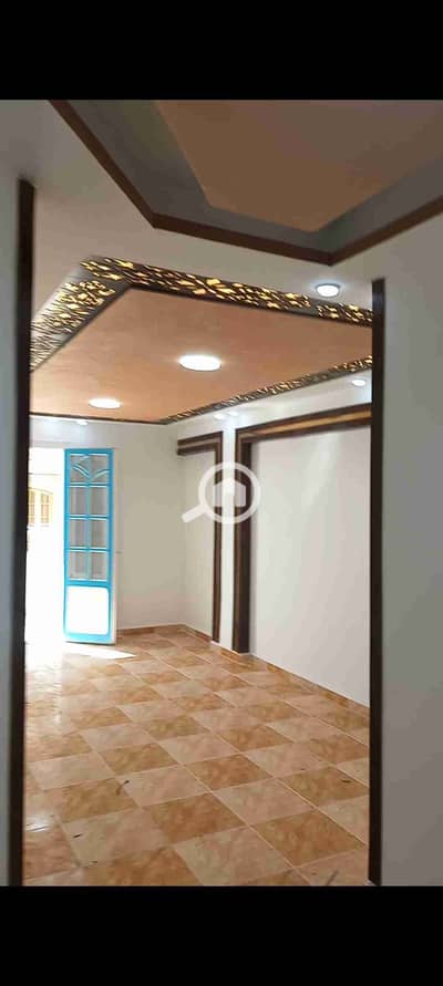 شقة 3 غرف نوم للبيع في النخيل، الإسكندرية - 1000476202. jpg