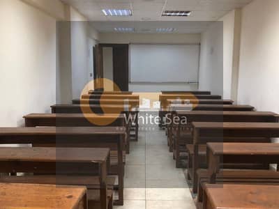Office for Rent in Camp Caesar, Alexandria - مقر إداري بمدخل خاص بكامب شيزار للسنترات التعليميه والحضانات