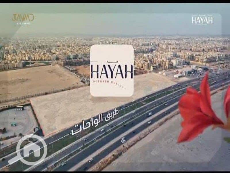 6 WhatsApp Image 2025-08-16 at 1.18. 11 PM (1). jpeg