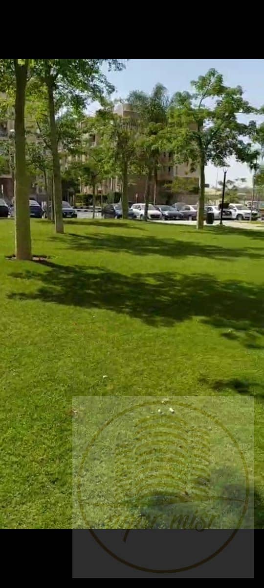 2 WhatsApp Image 2025-10-23 at 7.35. 46 PM (1). jpeg