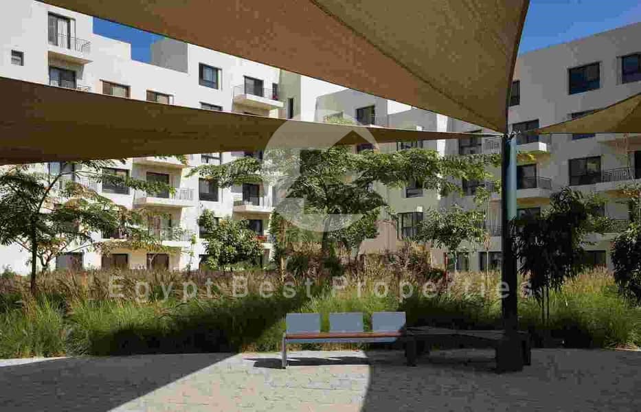 14 DSC07133 (Custom). jpg