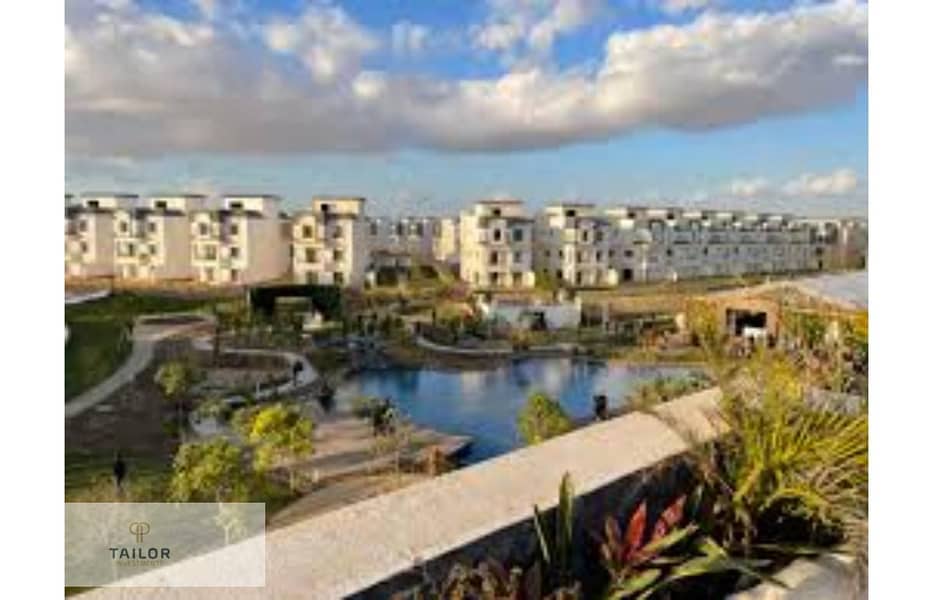 2 images - 2025-03-13T130941.640. jpg