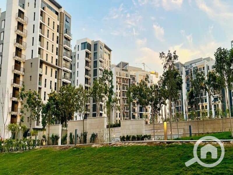 8 4744333-9b9cao. jpg