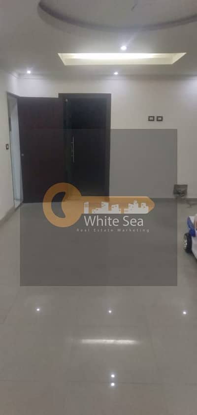 Office for Rent in Sporting, Alexandria - 57e365c2-ac52-40e9-ad64-1c469ac1164a. jpeg