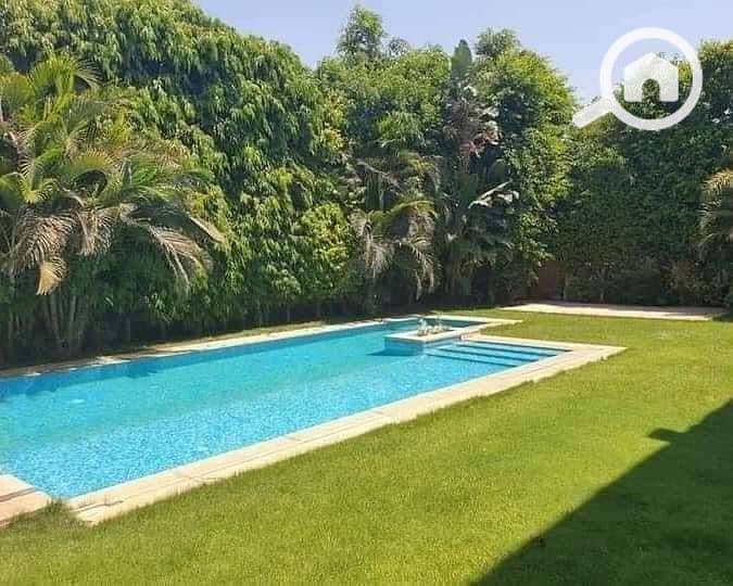 4 maadi view9. jpg