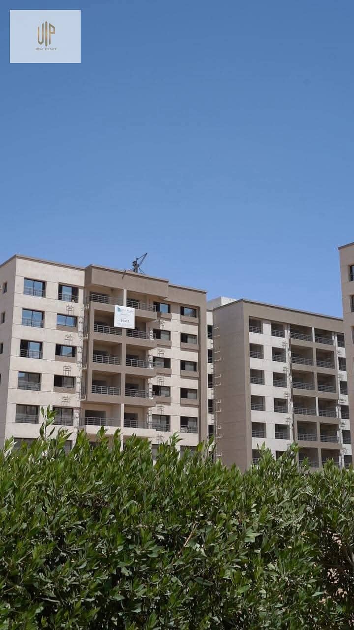 2 WhatsApp Image 2025-10-27 at 14.18. 42_64ff0a7a. jpg