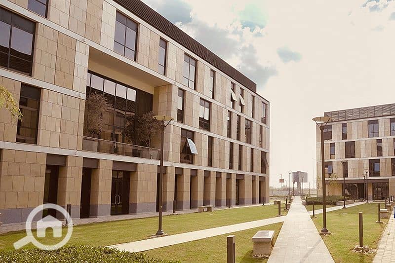 5 renditionDownload (1). jpg