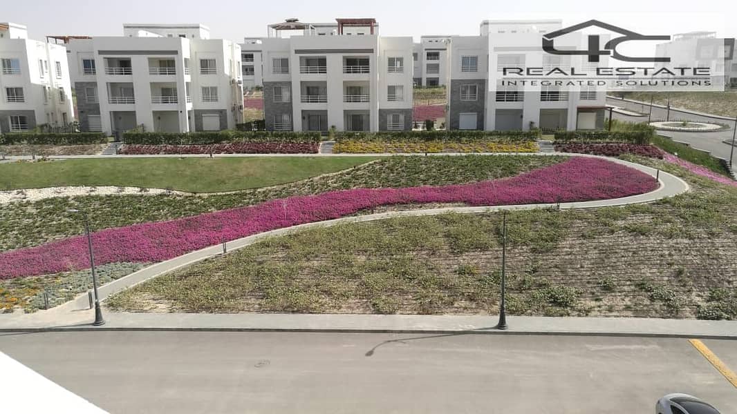 4 WhatsApp Image 2025-10-27 at 2.16. 12 PM. jpeg