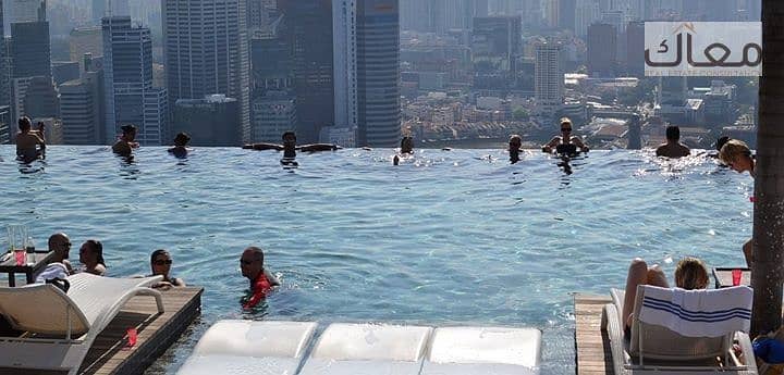 10 3a5dfd41-df34-4b1a-9b66-68d9e1ec0a10. jpg