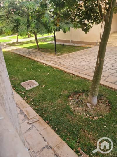1 Bedroom Flat for Sale in Madinaty, Cairo - 5dd28d2b-1314-44d3-bdc9-70feadcb2c07. jpg 1 Bedroom Flat for Sale in Madinaty, Cairo - 5dd28d2b-1314-44d3-bdc9-70feadcb2c07. jpg
