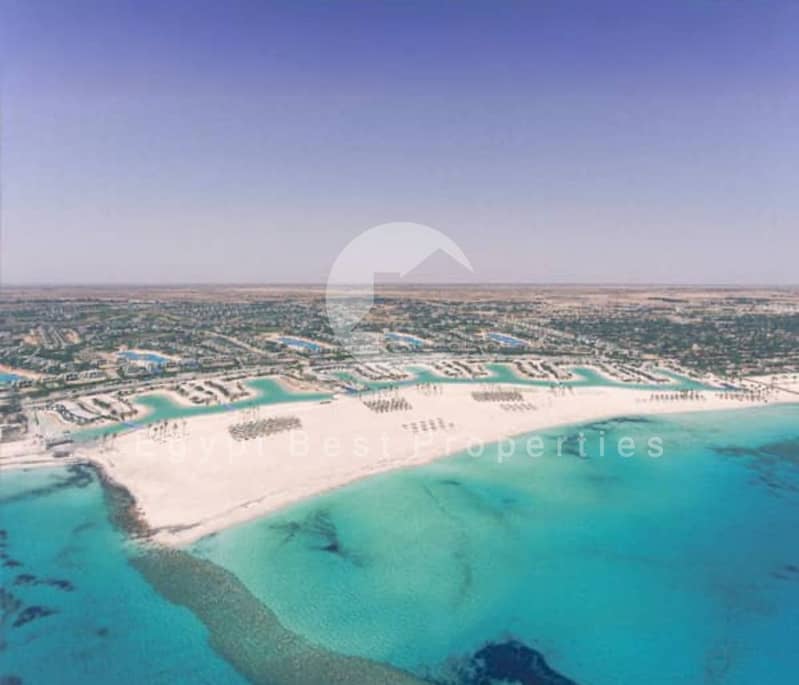 5 80cf2230-8c22-4d47-9c5f-df0fdd1ad5d0. jpg