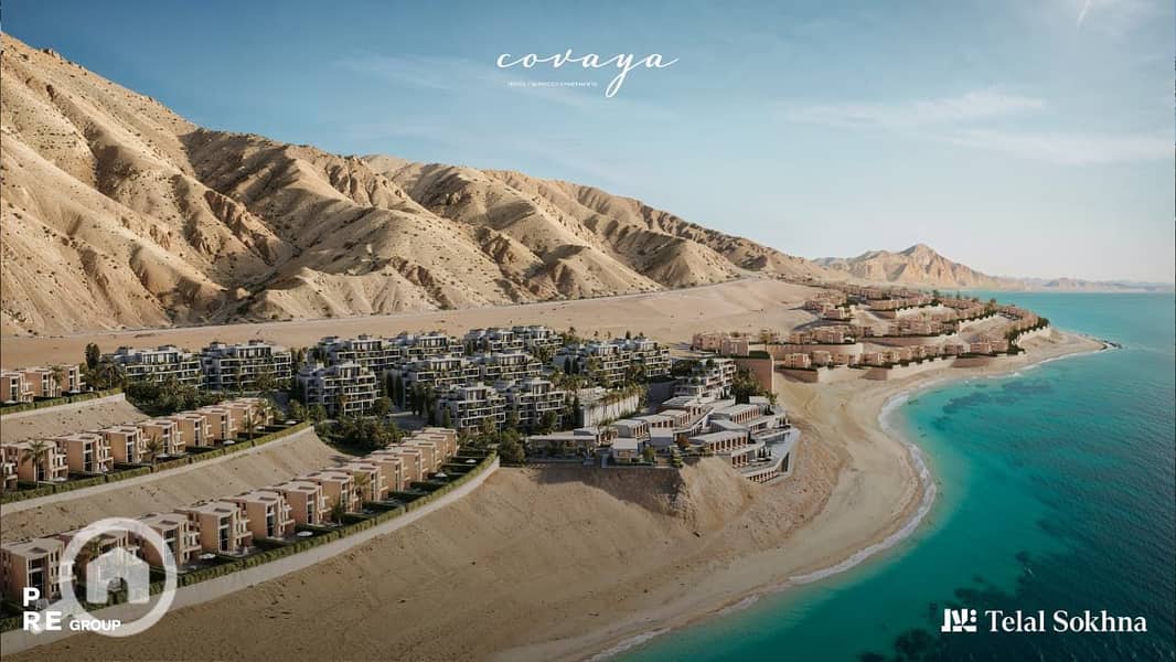 7 c687953e-7edf-4b81-85f4-3fa39a849f65. jpg